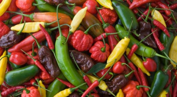 Spiciest Peppers The Hotties in the World - Men's Fit Club