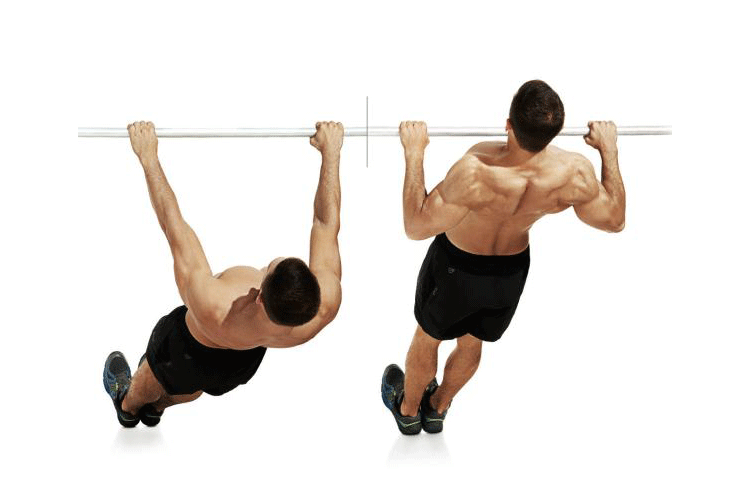 how to do the inverted row exercise