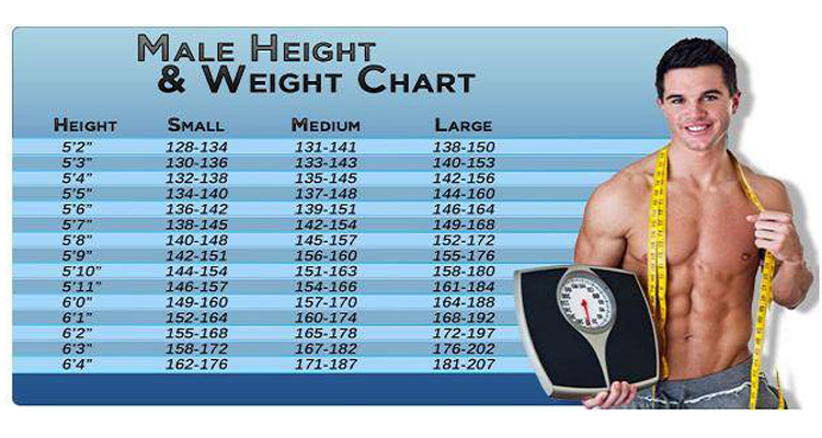 5 11 Height Weight Chart