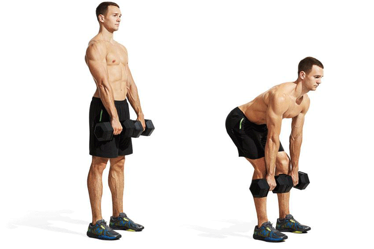 Full Body Dumbbell Workouts At Home - Men's Fit Club